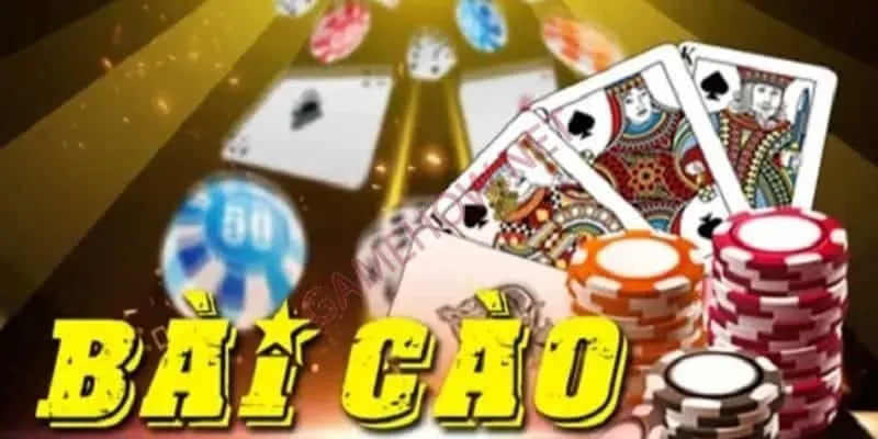 baicao-1-1