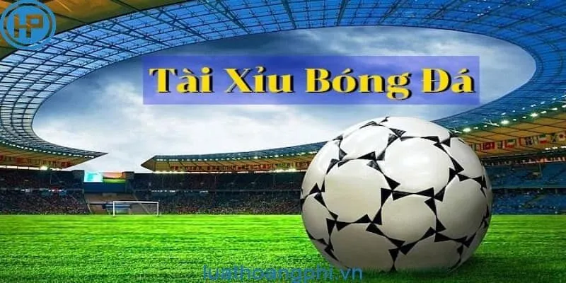 Cách tính Tài Xỉu bóng đá Phương pháp tính Tài Xỉu trong cược bóng đá hiệu quả