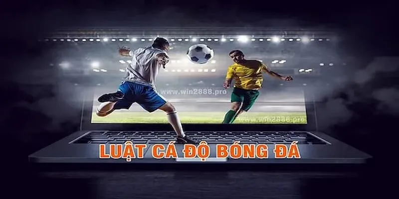 kinh-nghiem-ca-cuoc-bong-da-1